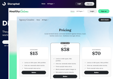 Screenshots van twee Bootstrap Theme's die als startpunt voor een nieuwe website genomen kunnen worden